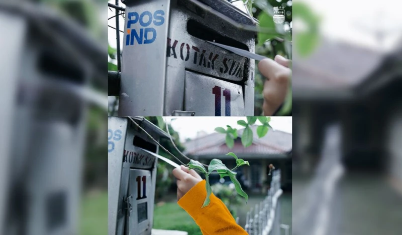 Inovatif! Persib Perkenalkan Pemain Baru Lewat Surat dan Kartu Pos - Sport Jabar